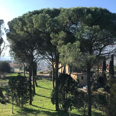 Villa Maria Collepepe Exterior foto